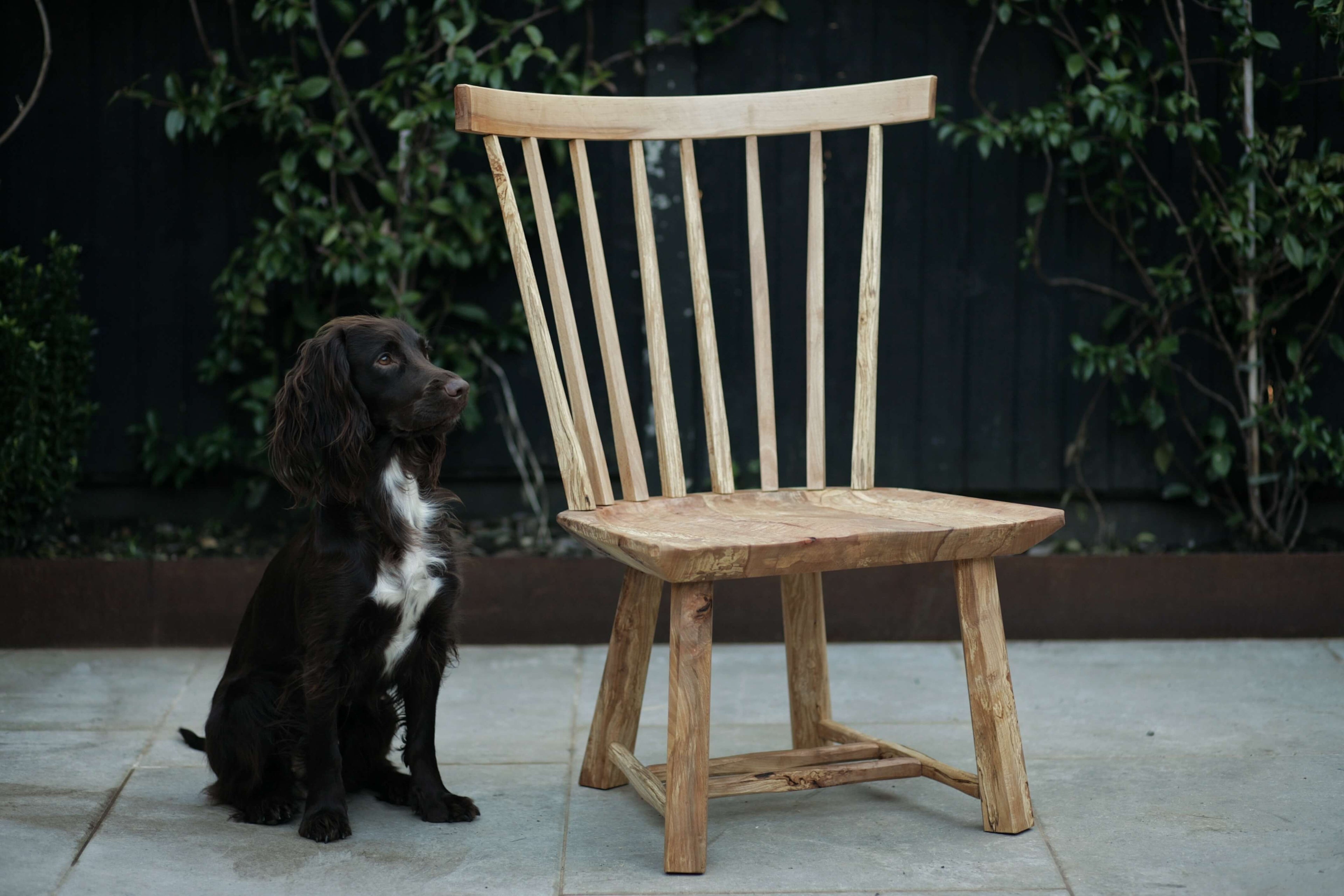 Spalted beech windsor chair.